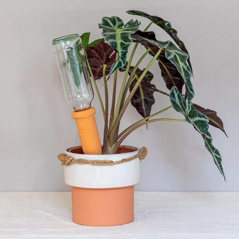 Self Watering Pots